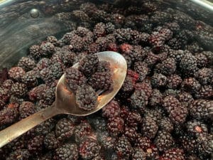Boysenberry Jam Recipe